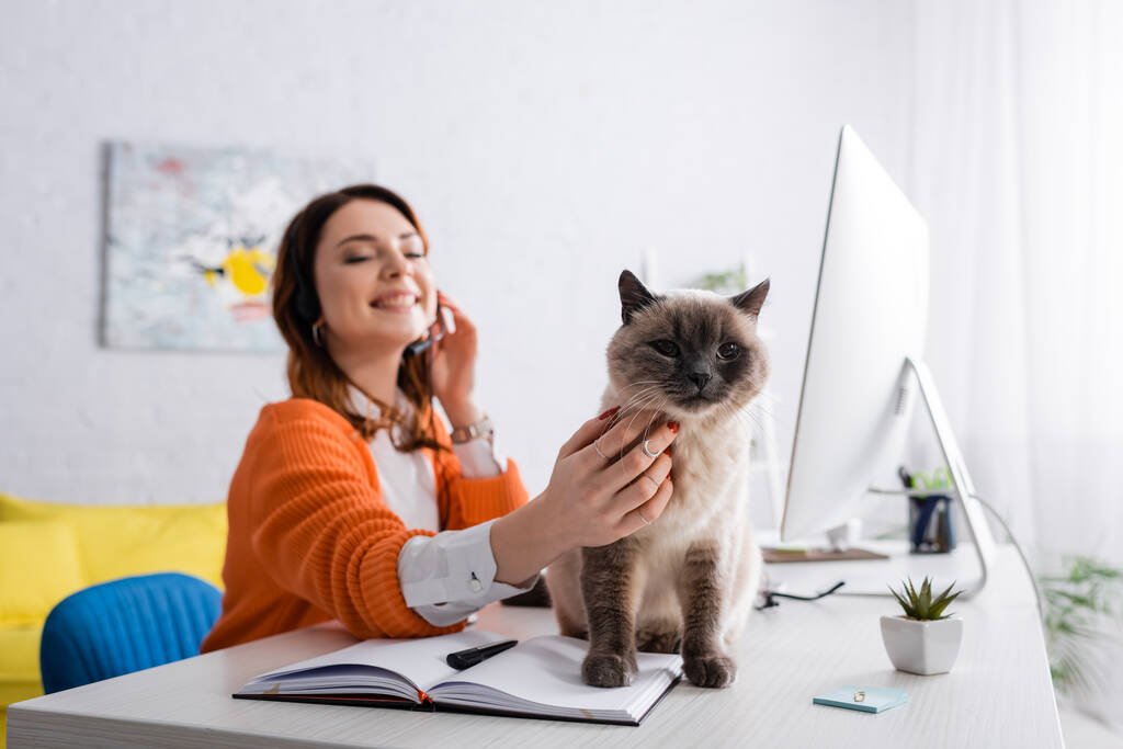  Des chats au bureau : une initiative insolite pour booster le moral des employés