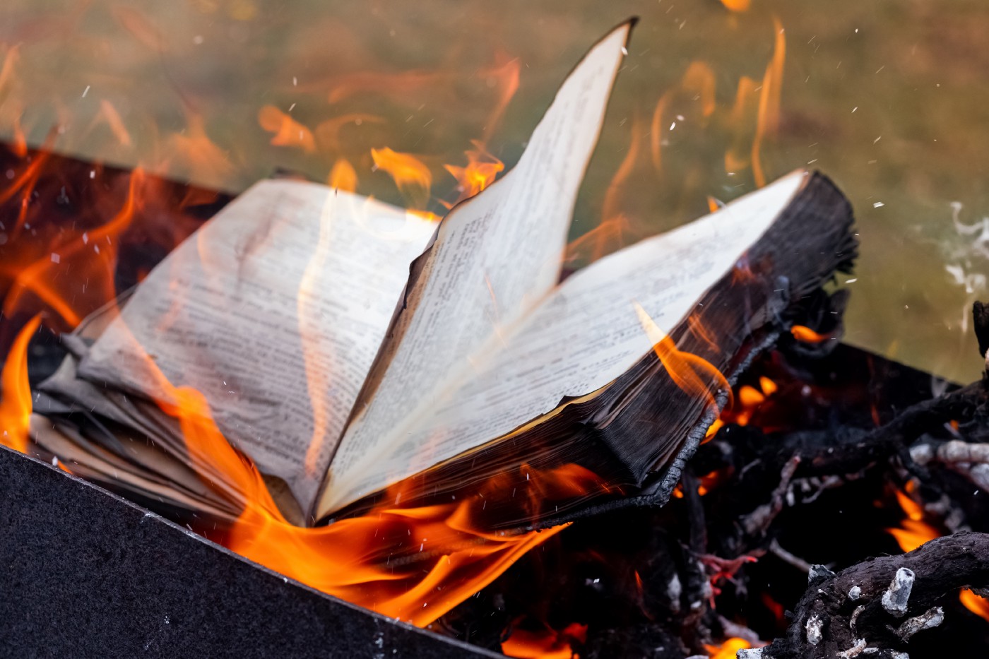 Des millions de livres détruits pour entraîner l'IA : le coût caché de la révolution numérique