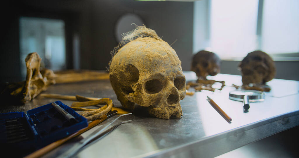 Des scientifiques intrigués par un crâne non-humain encastré dans une paroi de grotte