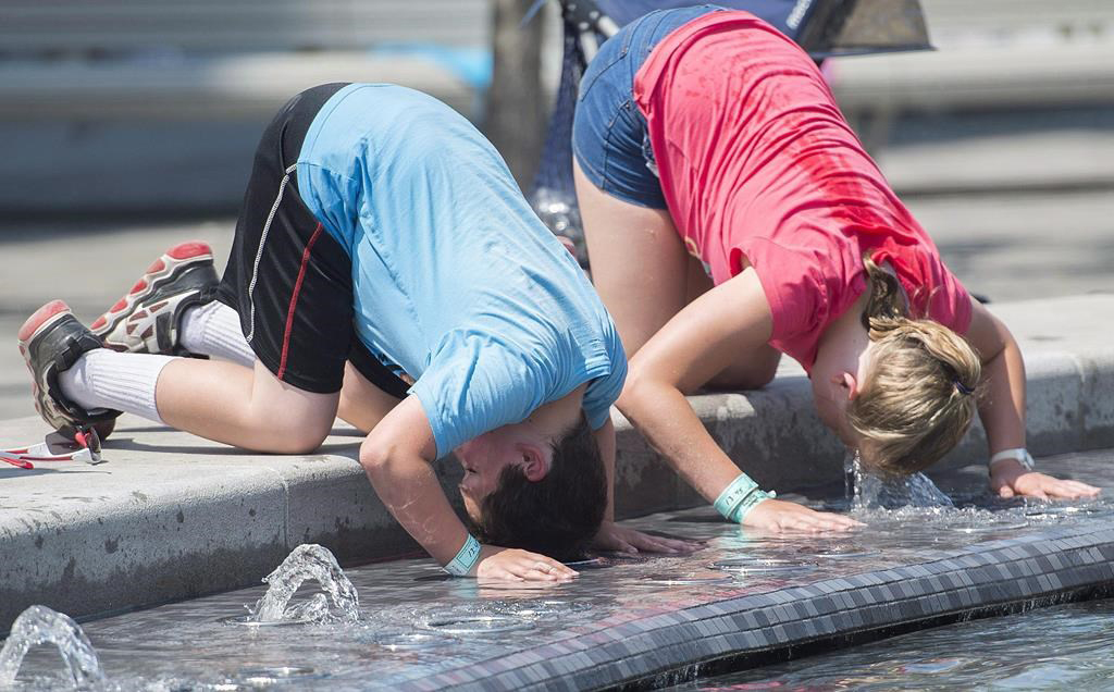 Quand l’ombre ne suffit plus : une étude alerte sur des vagues de chaleur dépassant les limites du corps humain