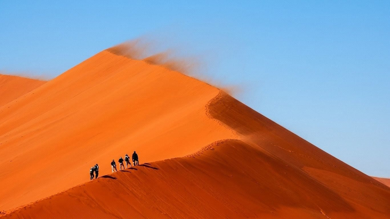 Lire le sable du désert : le savoir ancestral au service de la biodiversité australienne